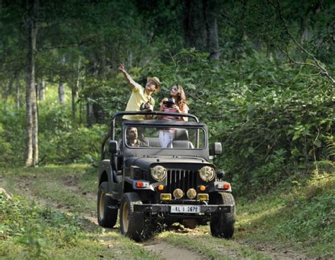 jungle jeep safari thekkady|More.